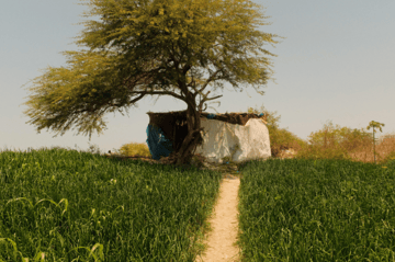 A hut in rural Senegal. Photo Jacob Threadgould  REVOLVE.