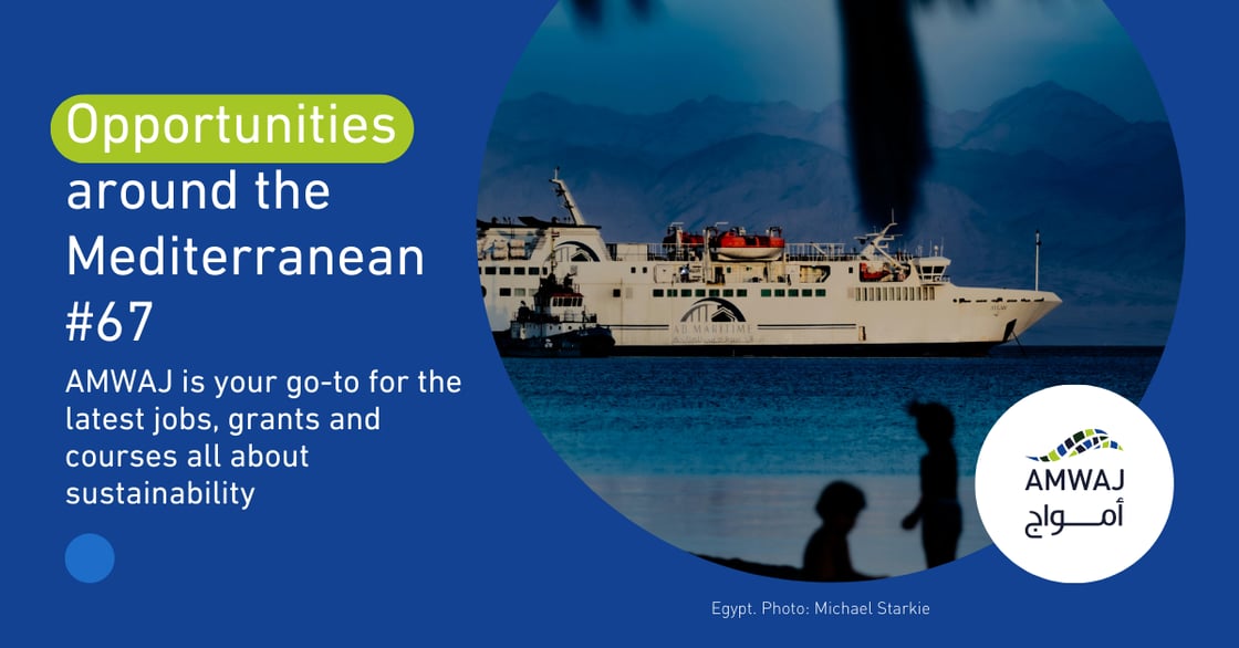 AMWAJ_Opportunities_MED_Li (7)-1