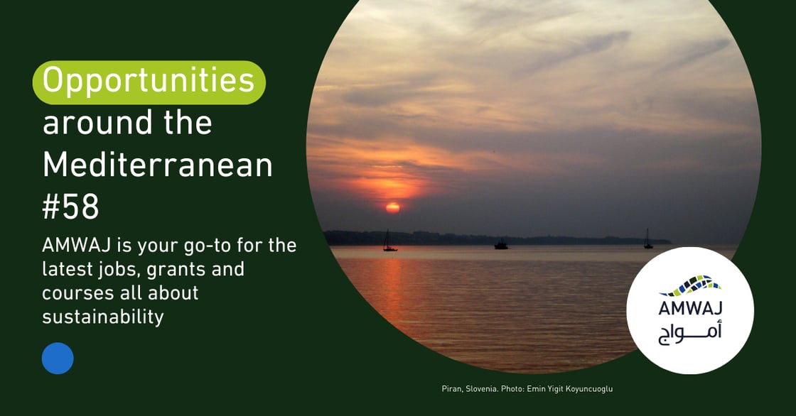 AMWAJ_Opportunities_MED_Li-3