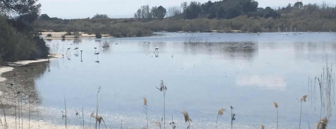 Captura de pantalla 2025-11-24 155757