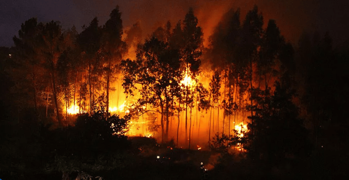 Captura de pantalla 2025-11-24 164344