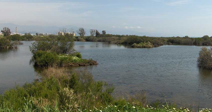 Guadalhorce-Wikimedia-Commons