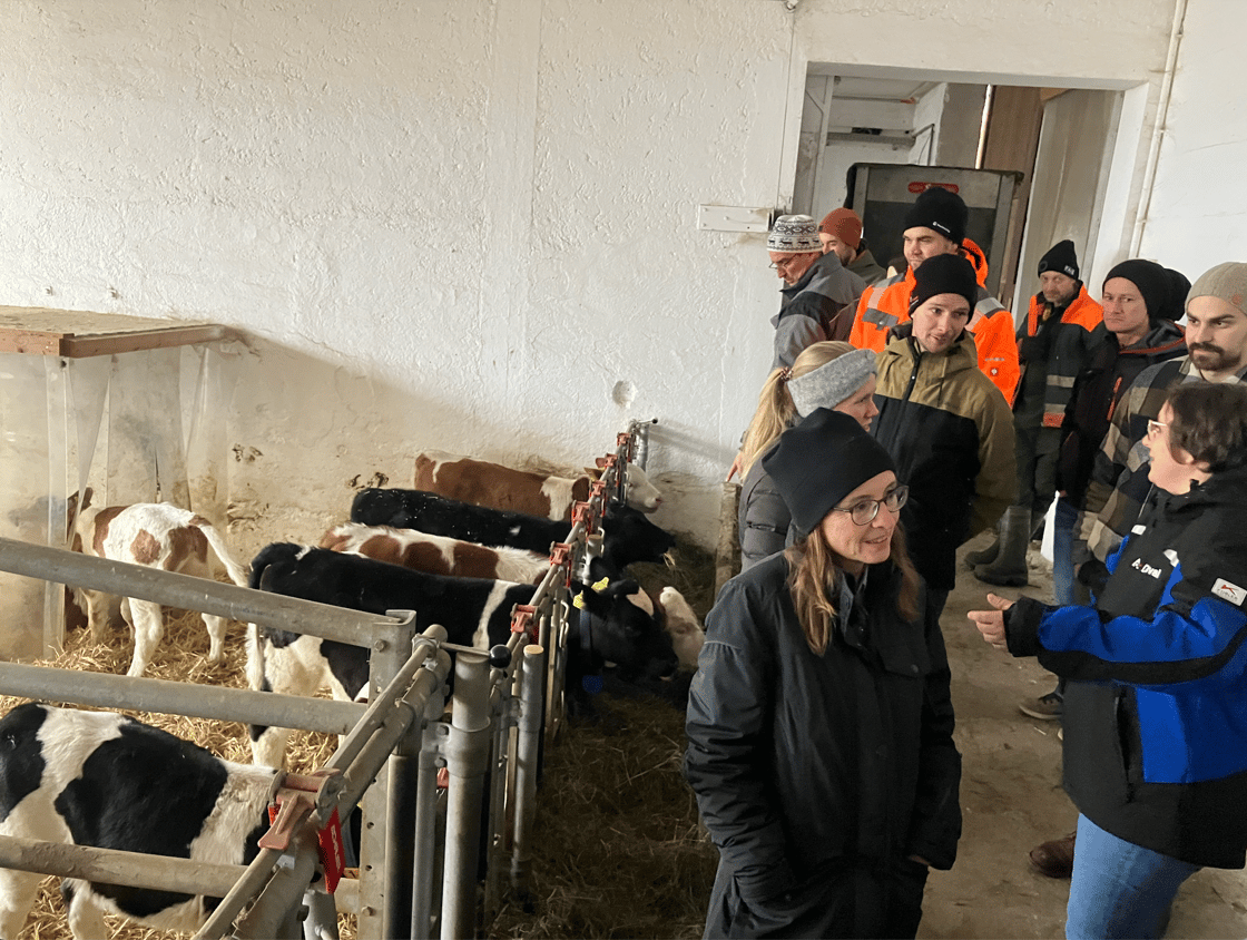 Bildschirmfoto 2025-05-15 um 12.13.06 (1)