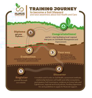 HuMUS_grafico-proceso-trainingcourse