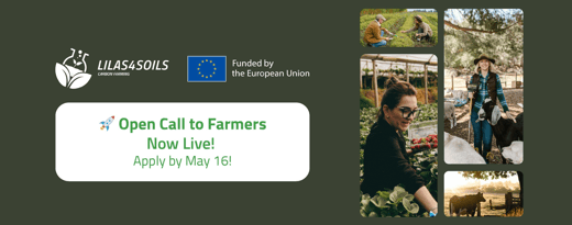 Screenshot 2025-03-20 162701