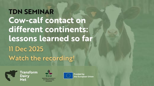 Dec 11 webinar thumbnail (1)