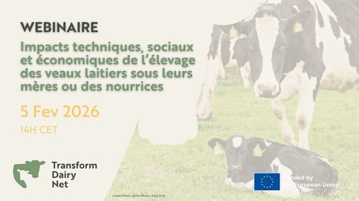 French webinar 2