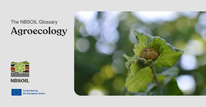 Biodiversity-1