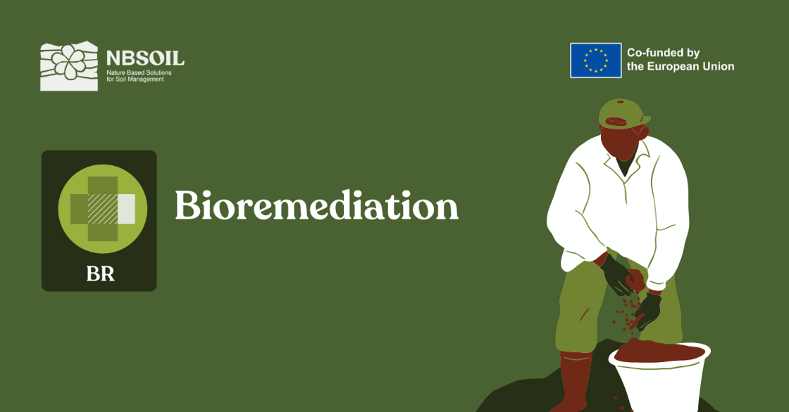 Knowledge Base - SM Shareables_Bioremediation_Post_Li