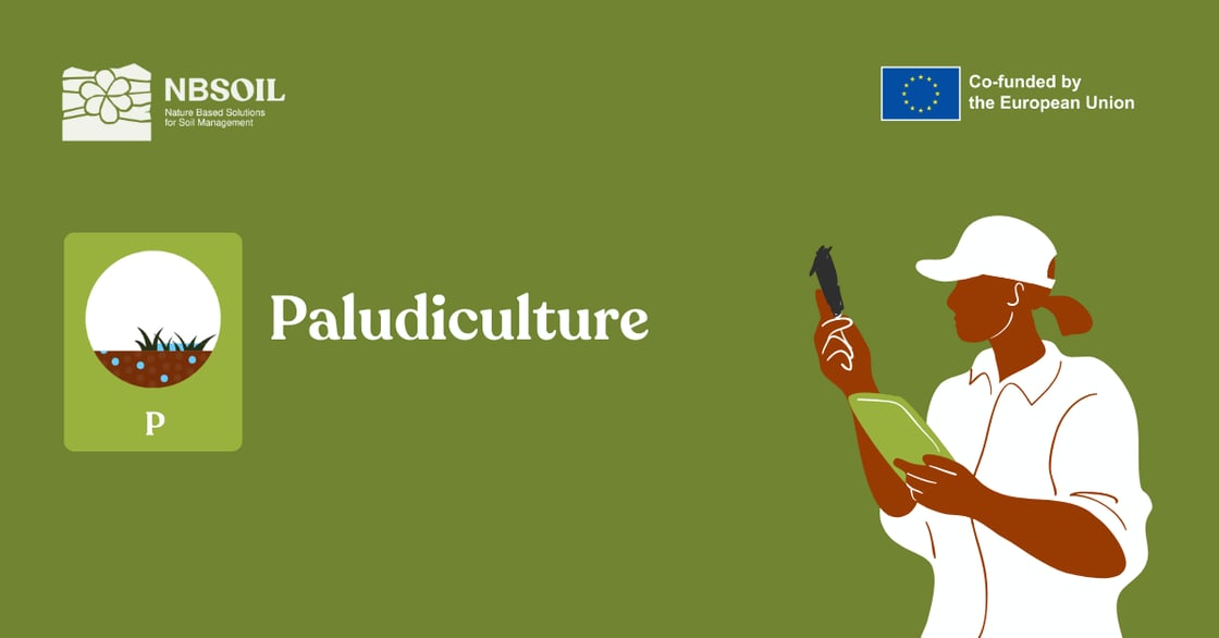 Knowledge Base - SM Shareables_Paludiculture_Post_Li