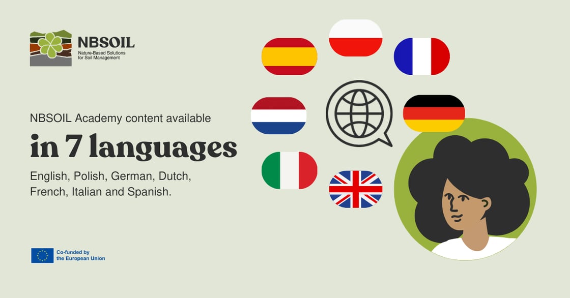NBS_Academy_Languages_Post_Li-1