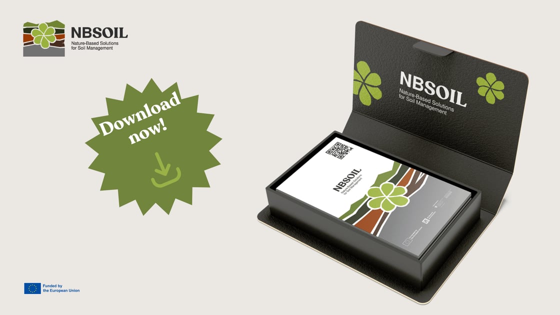 NBS_Visioning Cards Catalogue_Post_Li