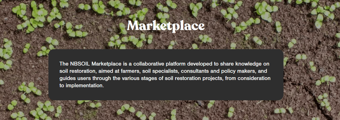 marketplace