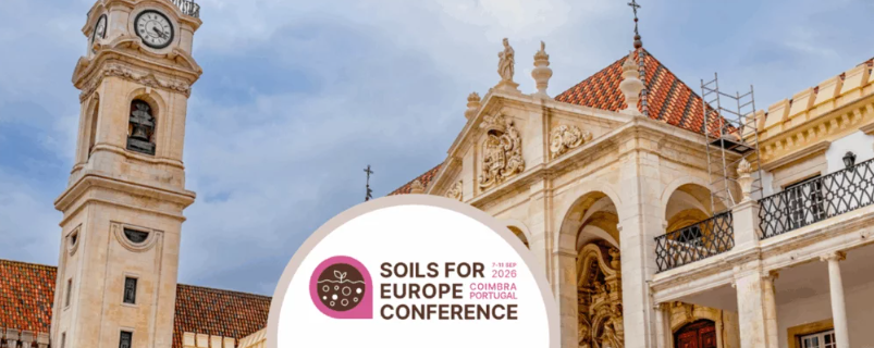 solo conference