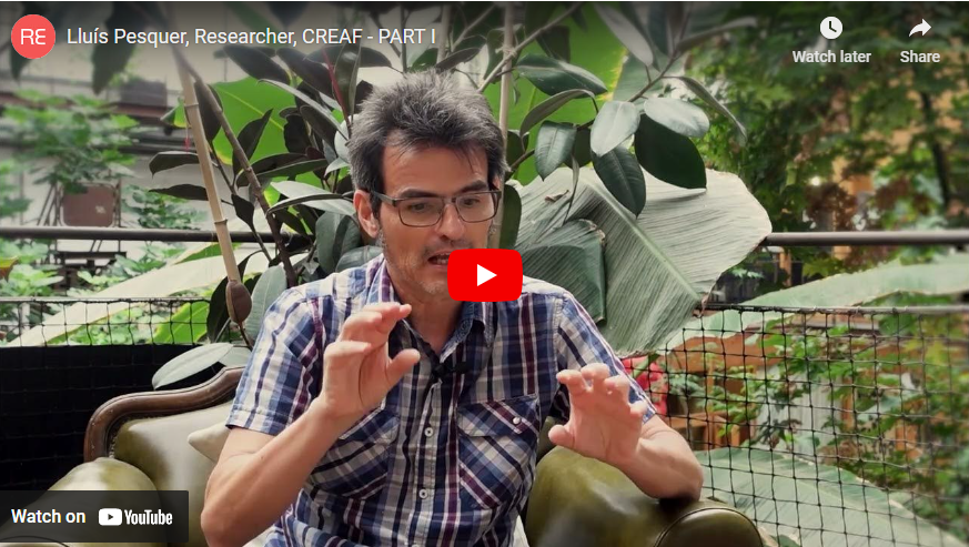 Screenshot 2024-12-19 103955