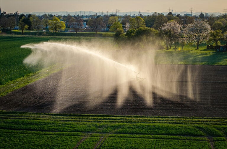 bernd-dittrich-Kf1P7ixL7Ys-unsplash-web-768x506