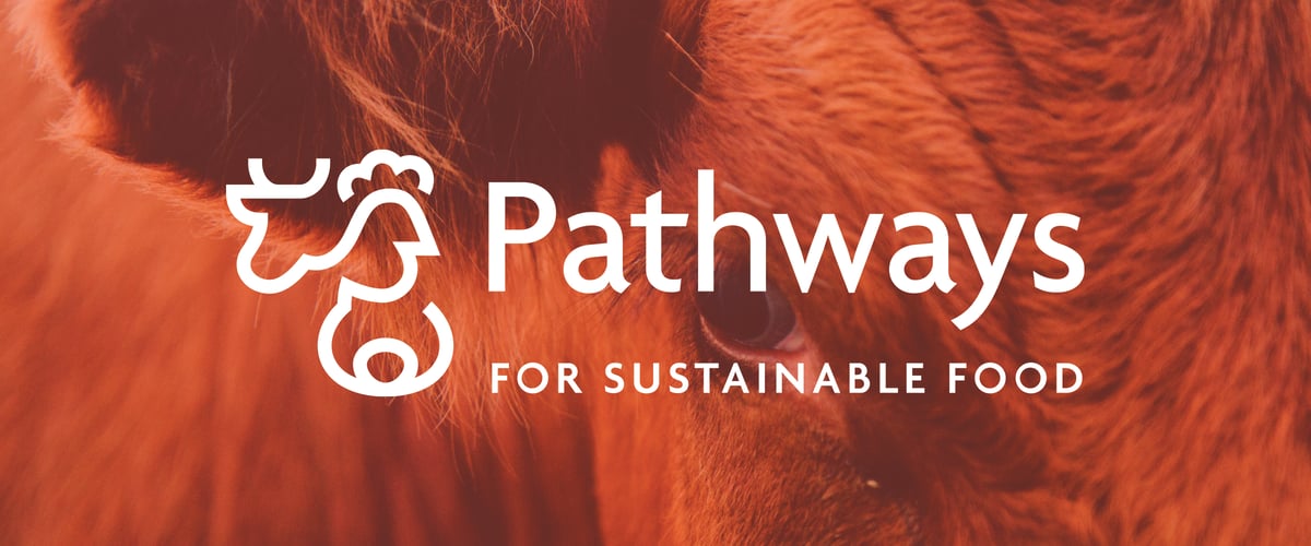 hubspot header